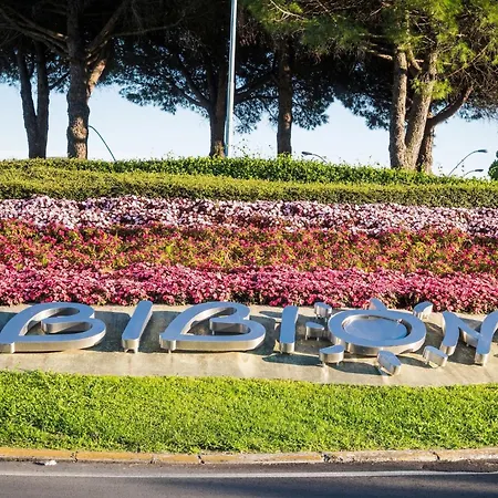 Coastal Comfort In Lido Del Sole With Sea View *